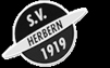 SV 1919 Herbern