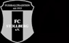 FC Stollberg 1913