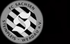 SV Sachsen 90 Werdau